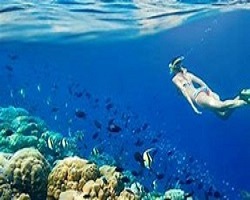 Snorkeling Trip to Tiran Island from sharm el sheikh