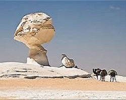 BAHARIYA OASIS TOUR FROM CAIRO