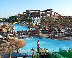 Tour to Aquapark in Sharm el Sheikh