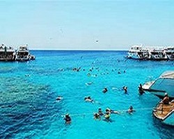 Snorkeling Tour To Sharm El Naga